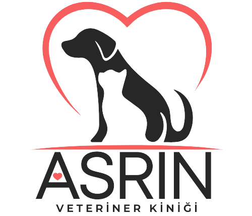 Asrın Veteriner Kliniği | Afyonkarahisar İscehisar Veteriner | Afyonkarahisar İscehisar Veteriner Kliniği | Afyonkarahisar İscehisar Veteriner Hekim | Afyonkarahisar İscehisar Acil Veteriner | Afyonkarahisar İscehisar En İyi Veteriner | Afyonkarahisar İscehisar Küçükbaş Veterineri | Afyonkarahisar İscehisar Büyükbaş Hayvan Veterineri